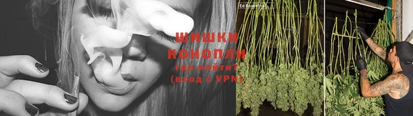 МДМА Белокуриха