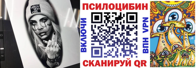 мега ссылки  Кохма  Галлюциногенные грибы Cubensis 